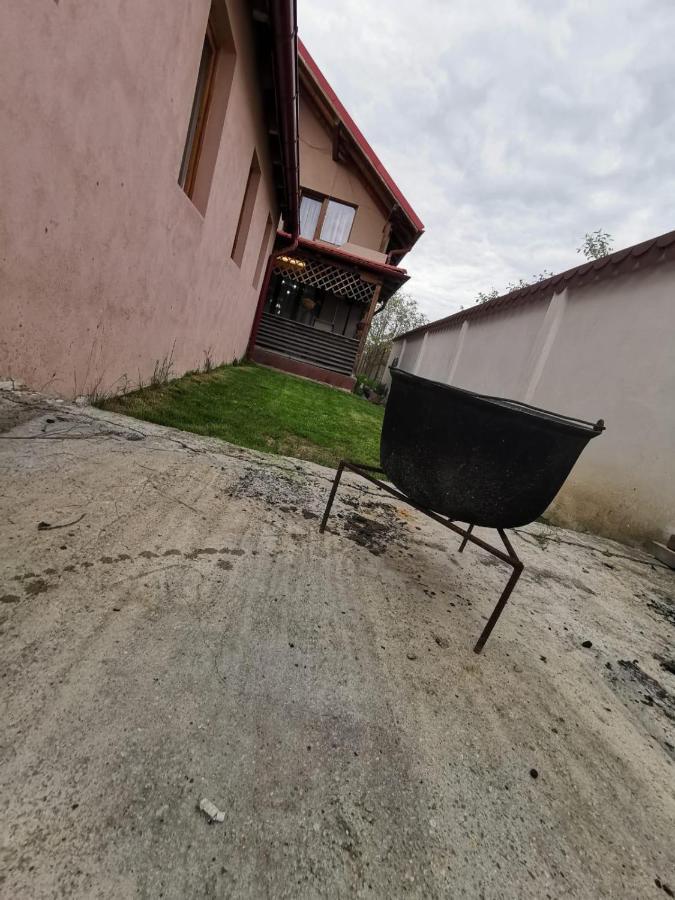 Vila De Vacanta Curtea De Arges Exterior photo